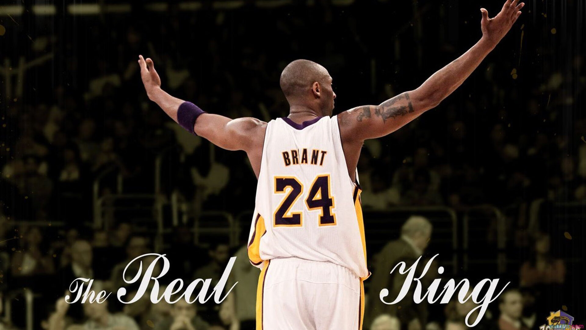 意外拳击赛现场设备短路紧急抢修,拳击事故视频