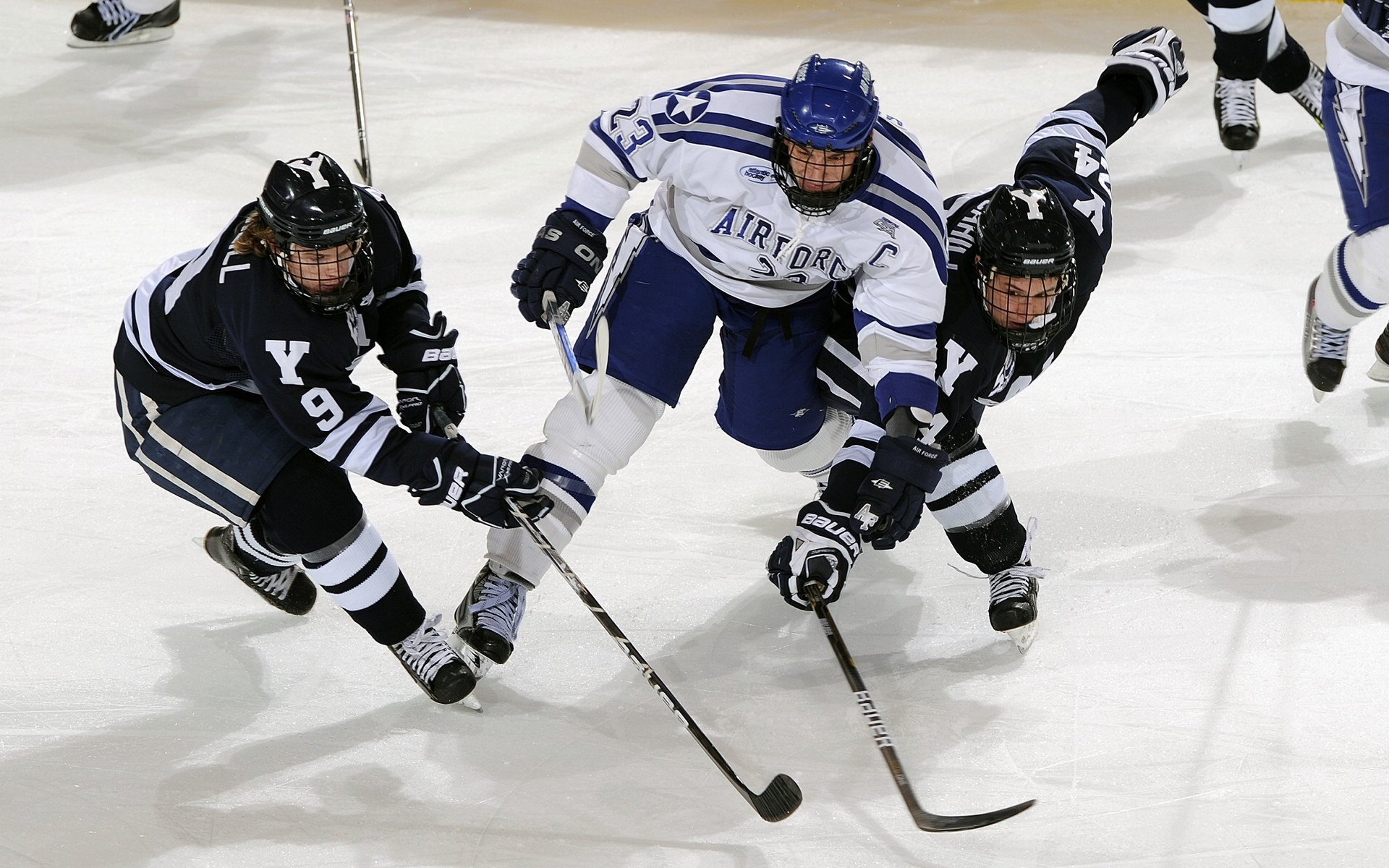校园体育文化与学生创新精神培养，校园体育文化建设对于塑造大学生的健康体质和完整人格